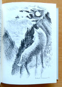 Le mystère du monstre.  par Bille Corinna S., Hainard Robert (ill.): - Image 3