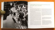 Les livres d'artistes d'Edwin Engelberts. Un éditeur d'art, ses peintres et ses poètes.  par Collectif - Dominique Kunz Westerhoff et Philippe Kaenel (dir.), Naomi Wenger (photographies): - Image 2