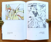 Un carnet d'excursion.  par Abeille Jacques, Guillon Anne-Marie et Jean-Pierre:  - Image 3