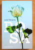 Rosa. . Tillmans Lolv&eacute;: 