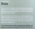 Rosa. . Tillmans Lolv&eacute;: 