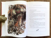 Le mystère du monstre.  par Bille Corinna S., Hainard Robert (ill.):  - Image 3