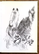 Le mystère du monstre.  par Bille Corinna S., Hainard Robert (ill.):  - Image 4