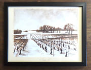 La Champagne en hiver.  par Frattini: 