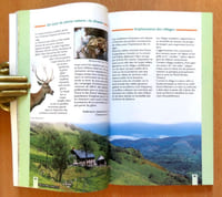 Volcan du Cantal. Pays de Saint-Flour et de Ruynes-en-Margeride.