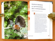 Le Jura - Les paysages, la vie sauvage, les terroirs.  par Blant Michel (dir.) et al.:  - Image 4