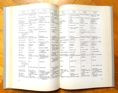 Dictionnaire à l'usage de la librairie ancienne. Pour les langues françaises, anglaise, allemande, suédoise, danoise, italienne, espagnole, hollandaise / Dictionary for the antiquarian booktrade. In French, English, German, Swedish, Danish, Italian, Spanish and Dutch.