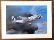 Transports - avion.  par Bilal Enki: 
