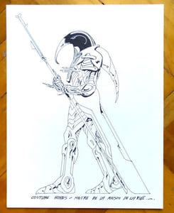 Costume Horus - Maître de la Maison de la Vie.