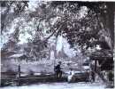 [Village suisse - L'esplanade du chalet de Berlingen, la cascade]. . Boissonnas Fred.: 