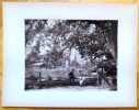 [Village suisse - L'esplanade du chalet de Berlingen, la cascade]. . Boissonnas Fred.: 