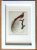 Oiseau du Paradis. . 