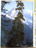 La grande ronde autour du Mont-Blanc. . Samivel, S. Norande: 
