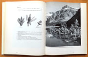 La forêt suisse et les industries du bois. Ouvrage destiné aux enseignants de la Suisse romande, à leurs élèves et à tous les amis de la nature.  par Collectif:  - Image 5