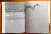 Jonathan Livingston le goéland.  par Bach Richard, Munson Russel (phot.):  - Image 4