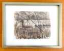 Cane et canetons. La Versoix, Grilly 25 avril 1967 - Reproduction. . Hainard Robert: 