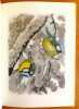 Promenades aux oiseaux + reproduction encadr&eacute;e du bois de la couverture. . Giovanna J. M., Hainard Robert: 