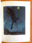 Promenades aux oiseaux.  par Giovanna J. M., Hainard Robert:  - Image 3