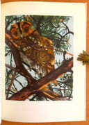 Promenades aux oiseaux.  par Giovanna J. M., Hainard Robert:  - Image 4