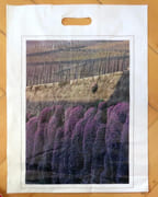 Les chutes d'Aubrietias. ArtCabas numéro 10.  par Grove Irène L. :  - Image 1