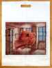 Le poisson dans la galerie. ArtCabas num&eacute;ro 7.. Knopf Fran&ccedil;ois : 