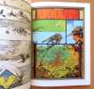 Firaz et la ville fleur. . Druillet, Picotto: