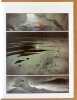 Zoo, tomes 1 et 2. . Frank, Philippe Bonifay: 