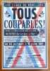 Tous coupables !. Collectif - R&eacute;mi Malingr&euml;y, Jean-Christophe Menu, Placid, Rocco: 