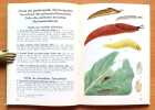 Mollusques terrestres et d'eau douce. . Forcart L.:
