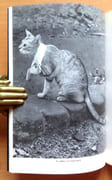 Ti-puss ou l'Inde avec ma chatte.  par Maillart Ella:  - Image 5