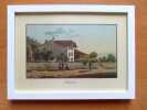 Reproduction - Lucens. . Borgeaud Georges: 