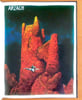 Arzach.. Moebius: 