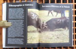 Le pays o&ugrave; les vaches sont reines. . Preiswerk Yvonne, Crettaz Bernard (dir.), Biner Jean-Marc (phot.): 