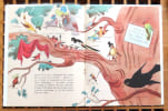 Cui-cui ou Les aventures d'un rouge-gorge. . Seill&eacute; Annie, Lavererie Raymond de (ill.): 