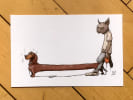 Long dog. . Olius: