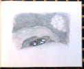 Ein winterm&auml;rchen. . Kreidolf Ernst: 