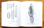 Naturalistes neuch&acirc;telois du XXe si&egrave;cle. . Dubois Georges: 