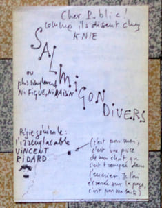 Salmigon divers, ou plus simplement ni figue ni raisin.