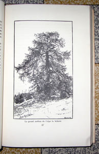 Le Parc national suisse.