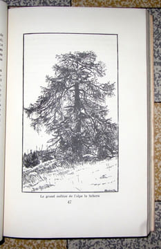 Le Parc national suisse. . Brunies Steivan, Aubert Samuel (trad.):