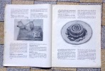 Le cordon bleu. Revue illustrée de cuisine pratique. . Collectif - Marthe Distel, Henri Pellaprat et al.: 