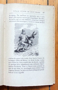 Nouveaux voyages en zigzag. Tome I: Voyage à la Grande Chartreuse et autour du Mont-Blanc. . Töpffer Rodolphe: