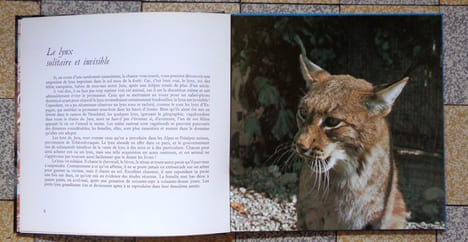 Bestiaire romand. . Schauenberg Paul, Roger d'Ivernois (phot.), Claude Monnier (avant-propos):
