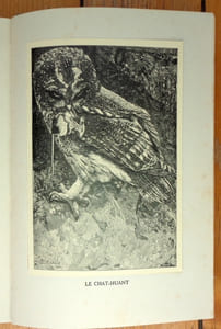 Chants d'oiseaux. Monographies d'oiseaux utiles. Troisième édition.