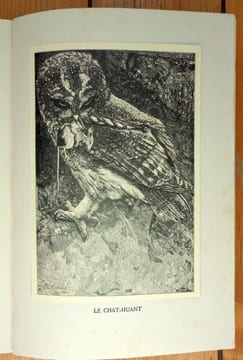Chants d'oiseaux. Monographies d'oiseaux utiles. Troisième édition. . Rambert Eugène, Léo-Paul Robert (ill.):