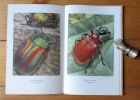 Le monde merveilleux des coléoptères. . Guggisberg, A. de Peez: 