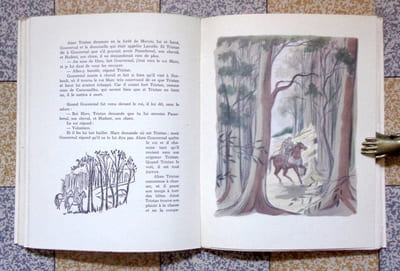 Le roman de Tristan et Iseut.