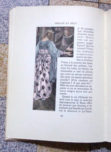 Le roman de Tristan et Iseut.