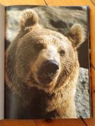 Image de livre