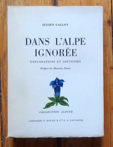 Dans l'Alpe ignorée. Explorations et souvenirs.